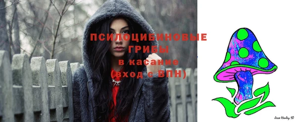 первитин Богородск