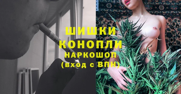 мяу мяу кристалл Богданович