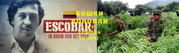 первитин Богородск