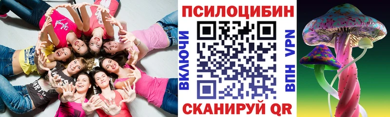 закладка Егорьевск Галлюциногенные грибы мухоморы